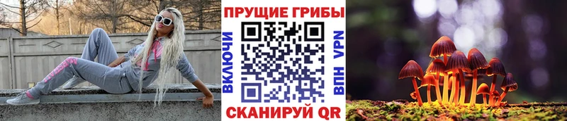 Галлюциногенные грибы ЛСД  закладки  Сортавала 