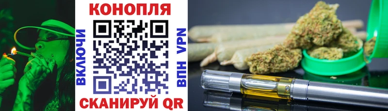 Конопля план  Сортавала 